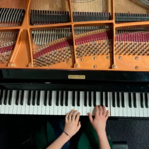 Initiation - Découvrir et appliquer l'accord, le réglage et la maintenance sur piano à queue