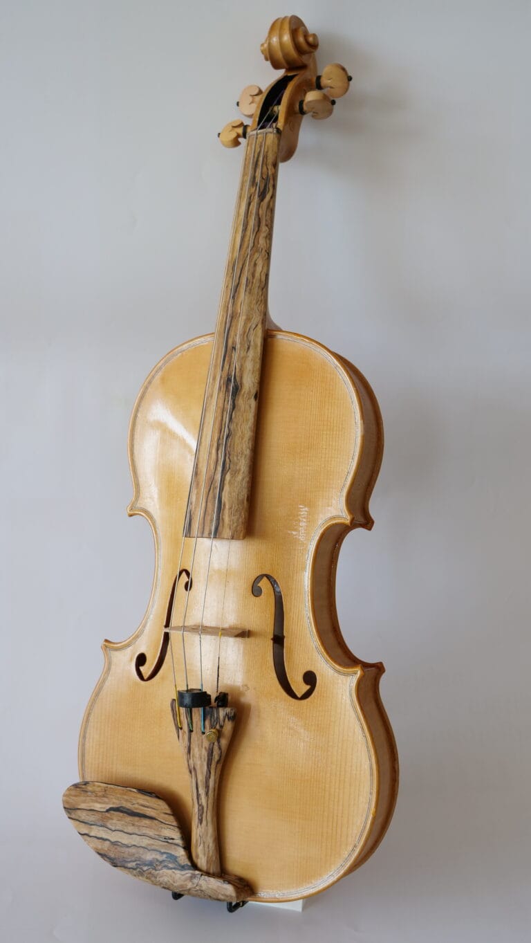 réalisation violon bois exotique et locaux